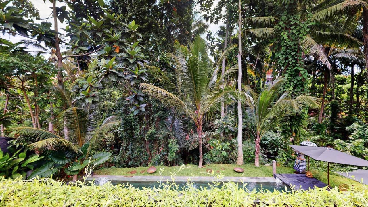 Six Cubes Ubud Ubud (Bali) Exterior photo